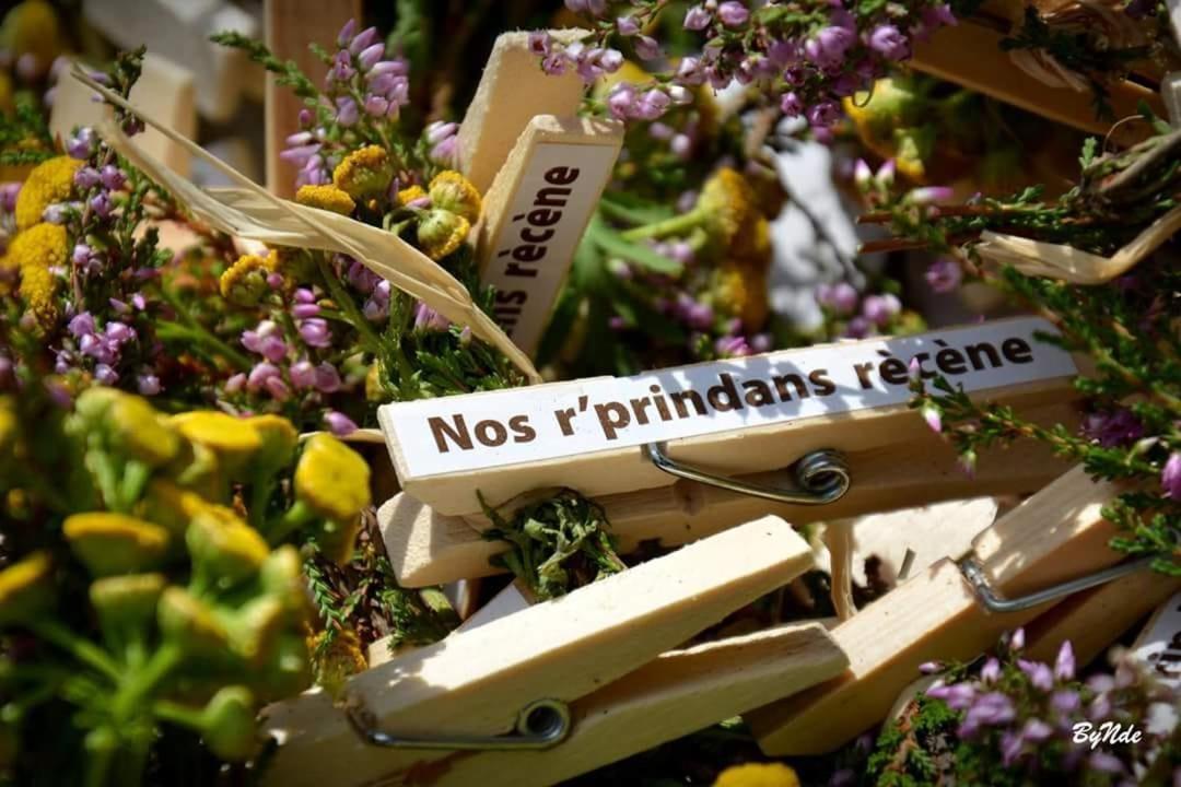 L'Epicentre Βίλα Sart-lez-Spa Εξωτερικό φωτογραφία